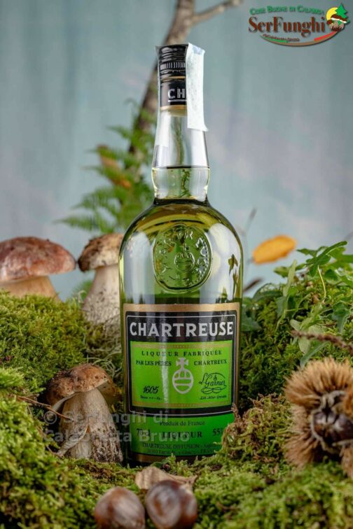 Chartreuse Verde 55°