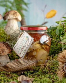 Funghi porcini interi